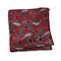 New Jacquard Paisley Pocket Square Classic Red Grey Blue 22cm Hankerchief Fit Business Wedding Party Stage Suit Hanky Gifts