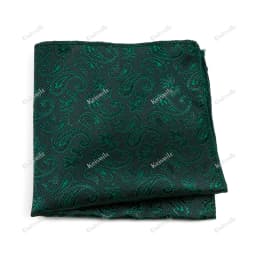 New Jacquard Paisley Pocket Square Classic Red Grey Blue 22cm Hankerchief Fit Business Wedding Party Stage Suit Hanky Gifts