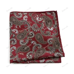 New Jacquard Paisley Pocket Square Classic Red Grey Blue 22cm Hankerchief Fit Business Wedding Party Stage Suit Hanky Gifts