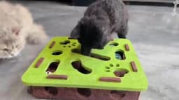 Cat Puzzle Toy Felt Puzzle Box Cat Exercise Toy With Ball Indoor Sports Entertainment Hunting Cat Toys For Indoor Cats