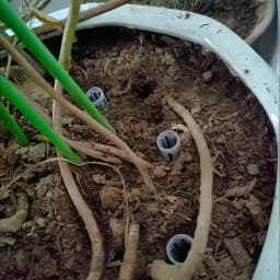 10/20Pcs Drainage Pipes To Prevent Root Rot and Improve Drainage, Suitable for Indoor and Outdoor Use Plant Root Ventilation