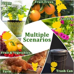 Landisun Fruit Fly Traps Fungus Gnat-Traps for Indoor-Outdoor Yellow Fruit-Fly Sticky-Trap Plants Flying Bug Insects Traps