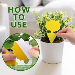 Landisun Fruit Fly Traps Fungus Gnat-Traps for Indoor-Outdoor Yellow Fruit-Fly Sticky-Trap Plants Flying Bug Insects Traps