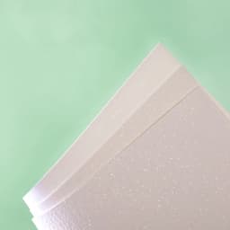 Paul Rubens 100% Cotton 300g Glitter Watercolor Paper Professional Artist Water Color Paper for Painting Art Supplies