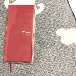 Fromthenon Transparent Pvc Protective Cover for HO-BO Weeks Planner Diary Journals Notebook Bookbinder Case School Supplies
