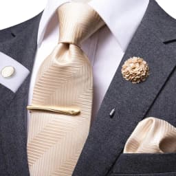 Hi-Tie Yellow Brown Paisley Tie For Men Men's Tie Clip Gift For Men Luxury Necktie Hanky Cufflinks Set Formal Wedding