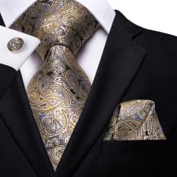 Hi-Tie Yellow Brown Paisley Tie For Men Men's Tie Clip Gift For Men Luxury Necktie Hanky Cufflinks Set Formal Wedding