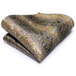 Hi-Tie Yellow Brown Paisley Tie For Men Men's Tie Clip Gift For Men Luxury Necktie Hanky Cufflinks Set Formal Wedding