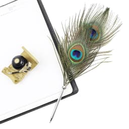 Black Ink Peacock Feather Quill Ballpoint Pen 1 Pack 5 Refills Wedding Gifts Stationery School Office Supplies