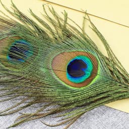 Black Ink Peacock Feather Quill Ballpoint Pen 1 Pack 5 Refills Wedding Gifts Stationery School Office Supplies
