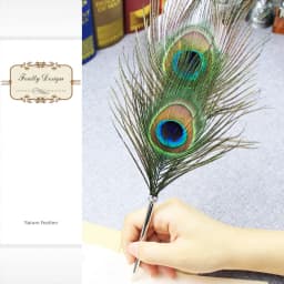 Black Ink Peacock Feather Quill Ballpoint Pen 1 Pack 5 Refills Wedding Gifts Stationery School Office Supplies