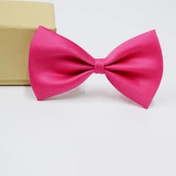 HUISHI Pet Bowtie Dog Cat Rabbit Accessories Adjustable Mix Neck Tie Polyester Ribbon Multicolor Pet Animal Wholesale Bowties