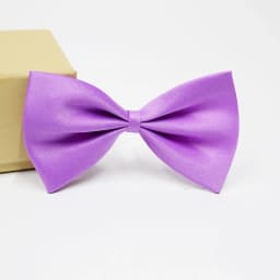 HUISHI Pet Bowtie Dog Cat Rabbit Accessories Adjustable Mix Neck Tie Polyester Ribbon Multicolor Pet Animal Wholesale Bowties
