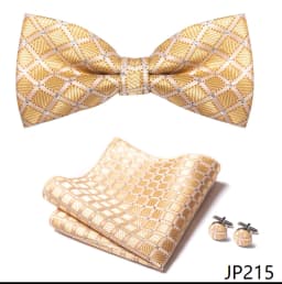 New Paisley Bow Tie for men Wedding Bowtie Handkerchief Cufflink Set Noeud Papillon Silk Pajaritas Cravat Female Male