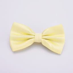 HUISHI Adjustable Bow Tie Men And Women Wedding Accessories Party Bowtie Classic Adult Multicolor Adjust Neck Fashion Bow Tie