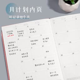 Creative Undated A5 Notebook Timeline Plan This Schedule Daily Planner for Schedule University Postgraduate Examination Calendar