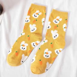 Kawaii Cartoon Bear Dog Animals Woman Socks Cotton Japanese Korean Style Spring Autumn Funny Socks Women 12801