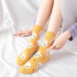 Kawaii Cartoon Bear Dog Animals Woman Socks Cotton Japanese Korean Style Spring Autumn Funny Socks Women 12801