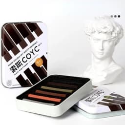6-color Artist Charcoal Strips Exquisite Tin Box Packaging Sketch Water-soluble Non-cutting Professional Painting Materials