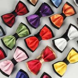 HUISHI Fashion Man Bow Tie Polyester 2 Layers Neckwear Adjustable Adult Bowtie For Party England Style Woman Wedding Solid