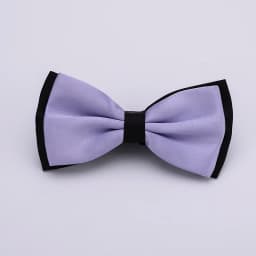HUISHI Fashion Man Bow Tie Polyester 2 Layers Neckwear Adjustable Adult Bowtie For Party England Style Woman Wedding Solid