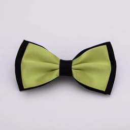 HUISHI Fashion Man Bow Tie Polyester 2 Layers Neckwear Adjustable Adult Bowtie For Party England Style Woman Wedding Solid