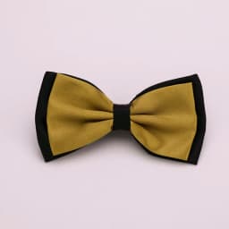 HUISHI Fashion Man Bow Tie Polyester 2 Layers Neckwear Adjustable Adult Bowtie For Party England Style Woman Wedding Solid