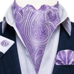 Jacquard Men Plaid Ascots Fashion Paisley Ties Wedding Formal Cravat Ascot British Gentleman Soft Polyester Luxury Gray Neck Tie