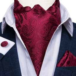 Jacquard Men Plaid Ascots Fashion Paisley Ties Wedding Formal Cravat Ascot British Gentleman Soft Polyester Luxury Gray Neck Tie
