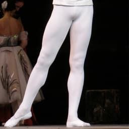 Mens Ballet Dance Tights Full Length Leggings Ballet Costume Training Pants Pantyhose Lycra Elastic Waistband White Black