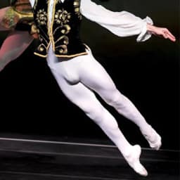 Mens Ballet Dance Tights Full Length Leggings Ballet Costume Training Pants Pantyhose Lycra Elastic Waistband White Black