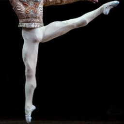 Mens Ballet Dance Tights Full Length Leggings Ballet Costume Training Pants Pantyhose Lycra Elastic Waistband White Black
