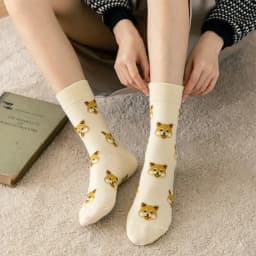 New Cute Cartoon Dog Middle Tube Socks Japanese Ins Creative Female Sokken Shiba Inu Dalmatian Malzis Teddy Pomeranian Dropship