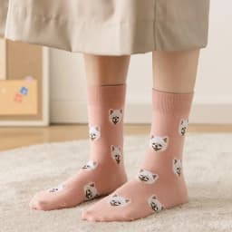 New Cute Cartoon Dog Middle Tube Socks Japanese Ins Creative Female Sokken Shiba Inu Dalmatian Malzis Teddy Pomeranian Dropship