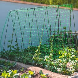 High-quality Garden Climbing Netting Strong Nylon Plant Trellis for Climbing Plants Loofah Morning Glory Flowers Cucumber Vine