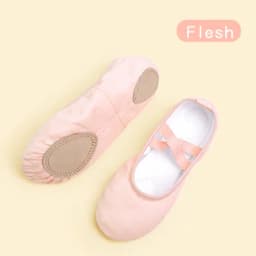 Girls Kids Pointe Shoes Dance Slippers High Quality Ballerina Practice Shoe For Ballet 6 color Ballet Dancer Professional Shoe