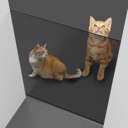 Retractable Baby Gate Punch-free Pets Stair Gate Dog Cat Stair Door Fence Childproof Net No-Drill Mesh Kids Safety Doorway