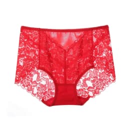Women Ultra-thin Mesh Panties Sexy High-waist Butt Lifter Briefs Lace Embroidery Underwear Seamless Breathable Plus Size Knicker