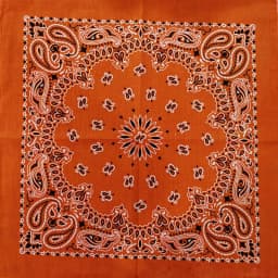 New Fashion Hip Hop 100% Cotton Bandana Square Scarf Gradient Color Paisley Headband Printed For Women/Men/Boys/Girls