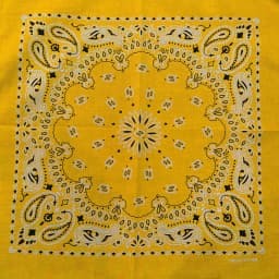 New Fashion Hip Hop 100% Cotton Bandana Square Scarf Gradient Color Paisley Headband Printed For Women/Men/Boys/Girls