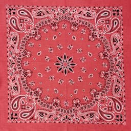 New Fashion Hip Hop 100% Cotton Bandana Square Scarf Gradient Color Paisley Headband Printed For Women/Men/Boys/Girls