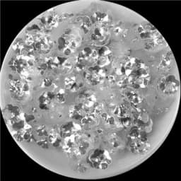 6mm/8mm/10mm Plum Flower Shapes Sequins Paillettes Sewing Craft, White Series Embellishment Findings,Women Garments Accessories