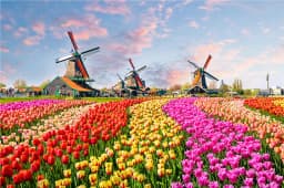 500 Pieces Creative Jigsaw Puzzle Various Landscape Assembling Picture Adults Anti Stress Puzzles Toys For Kids Games Xmas Gift