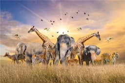 500 Pieces Creative Jigsaw Puzzle Various Landscape Assembling Picture Adults Anti Stress Puzzles Toys For Kids Games Xmas Gift