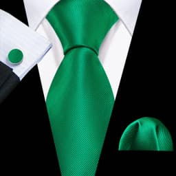 Fashion Men Tie Green Teal Blue Solid Paisley Striped Plaid Floral Animal Necktie Handkerchief Cufflinks Set Barry. silk Wang