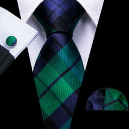Fashion Men Tie Green Teal Blue Solid Paisley Striped Plaid Floral Animal Necktie Handkerchief Cufflinks Set Barry. silk Wang