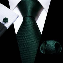 Fashion Men Tie Green Teal Blue Solid Paisley Striped Plaid Floral Animal Necktie Handkerchief Cufflinks Set Barry. silk Wang
