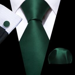 Fashion Men Tie Green Teal Blue Solid Paisley Striped Plaid Floral Animal Necktie Handkerchief Cufflinks Set Barry. silk Wang