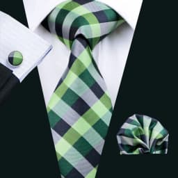 Fashion Men Tie Green Teal Blue Solid Paisley Striped Plaid Floral Animal Necktie Handkerchief Cufflinks Set Barry. silk Wang