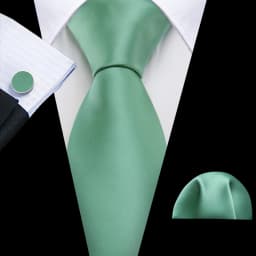 Fashion Men Tie Green Teal Blue Solid Paisley Striped Plaid Floral Animal Necktie Handkerchief Cufflinks Set Barry. silk Wang